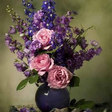 手机号轰炸测试